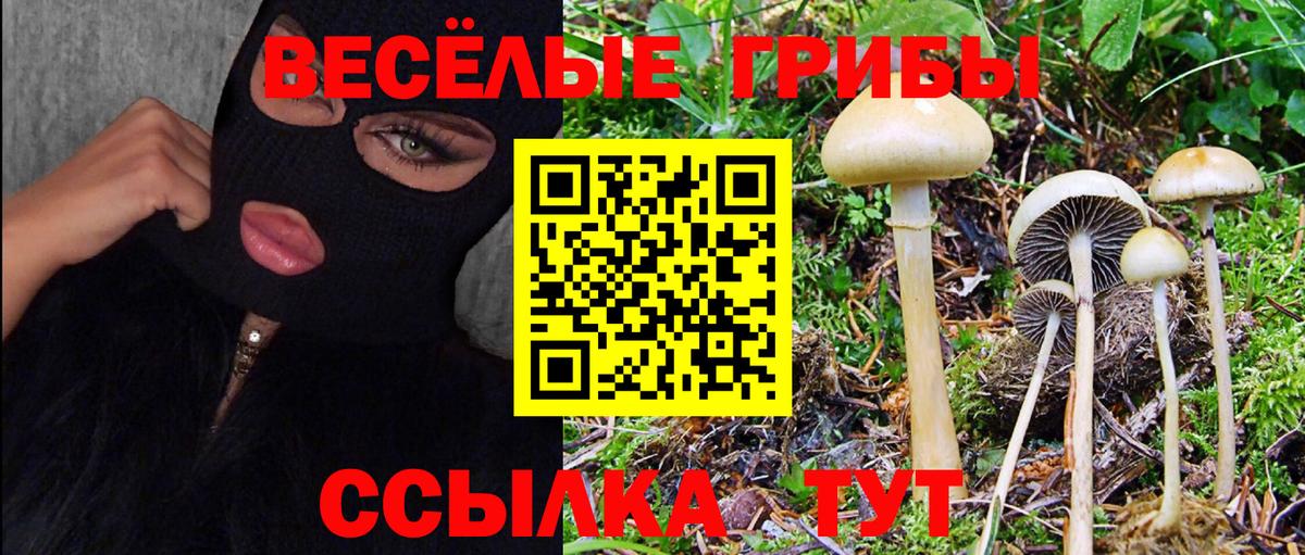 Лесозаводск  Псилоцибиновые грибы MAGIC MUSHROOMS  купить наркотики сайты  Вход с VPN 